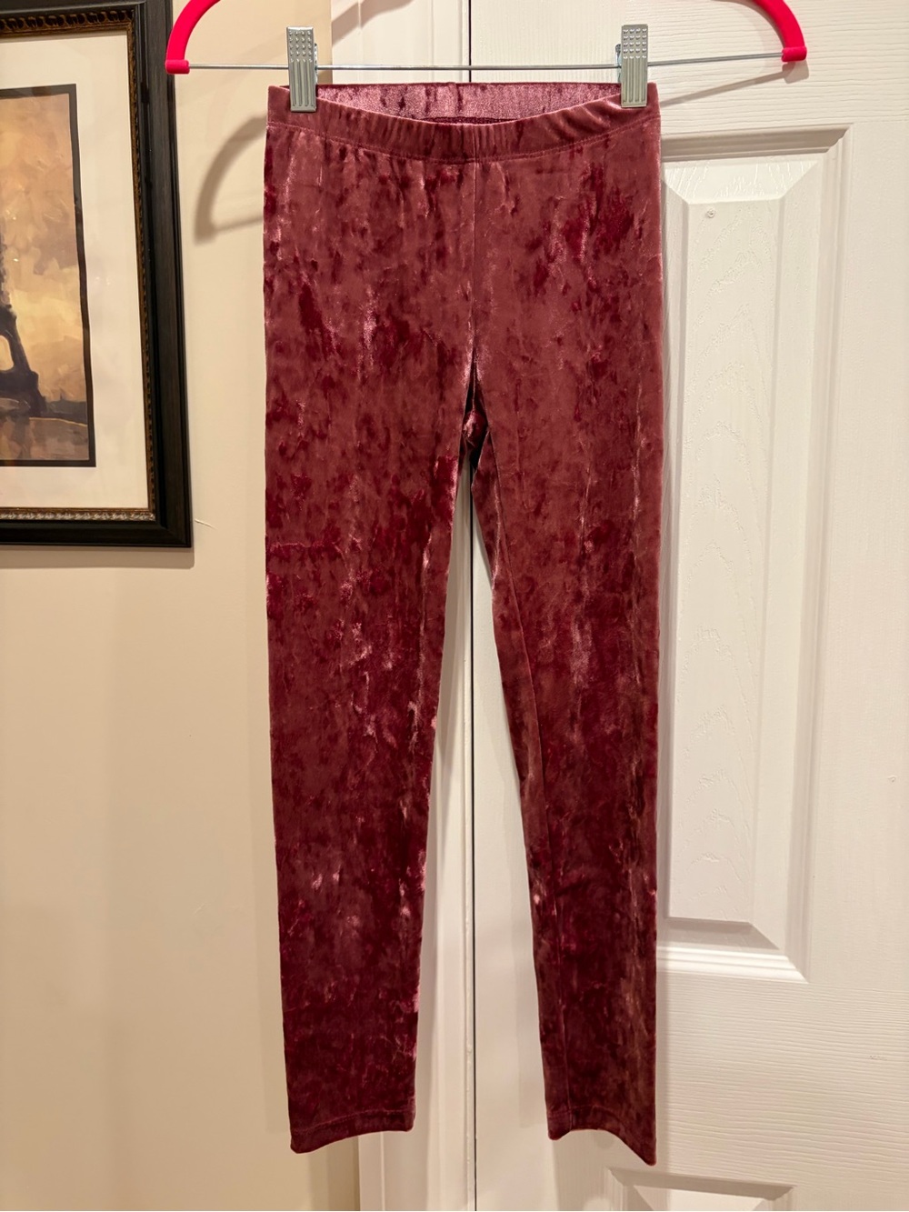 Cat & Jack Wine Colored Velvet Stretch Leggings